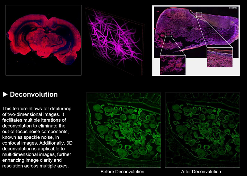 OPTO EDU A64.1099 Full Auto Semi APO Laser Confocal Microscope