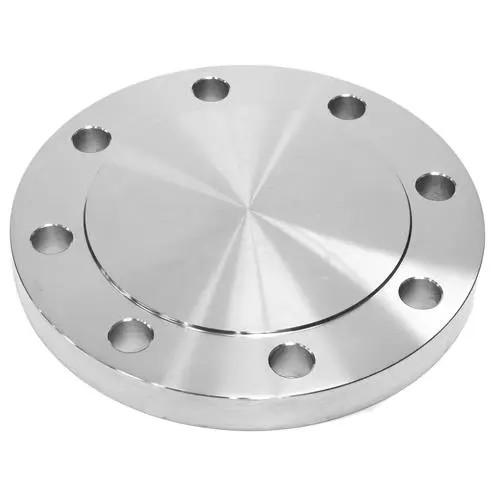 Professional Customized Stainless Steel Alloy Forged Blind Flange SS304 316