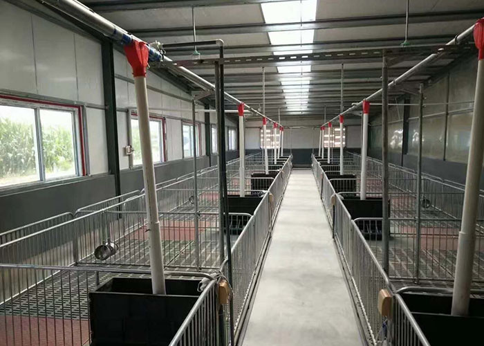 Hot Dip Galvanized Piggery Farm Equipment PVC board Weaner Raised Farrowing Crate