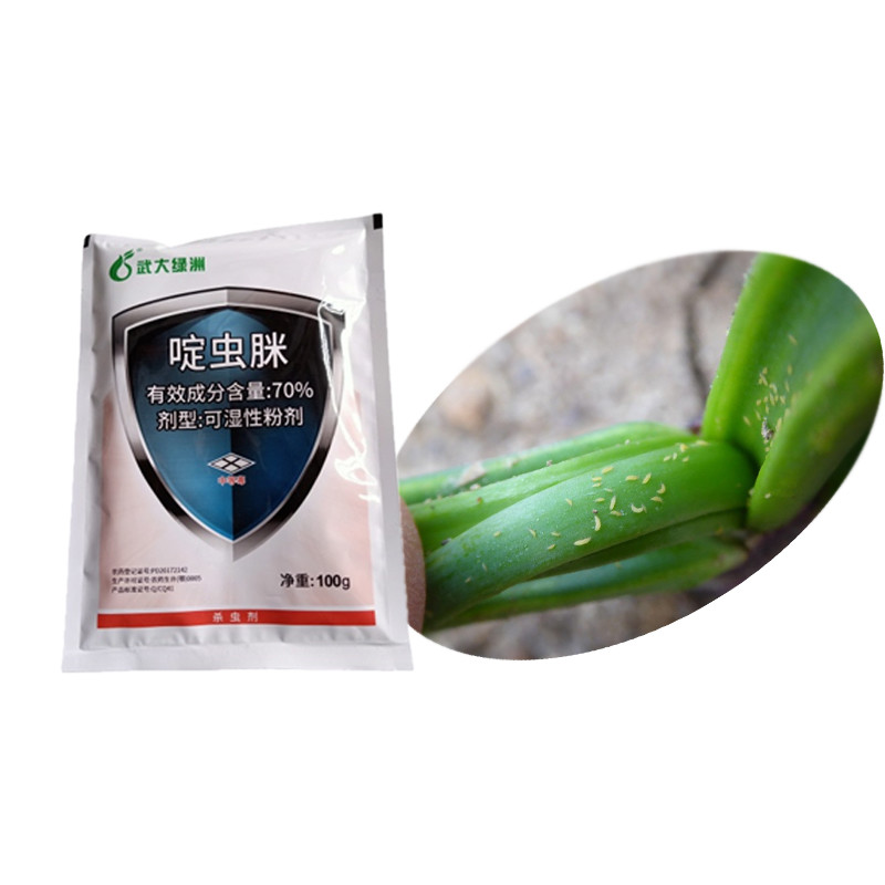 70% Acetamiprid WP Natural Tomato Pesticide For Cabbage Moth