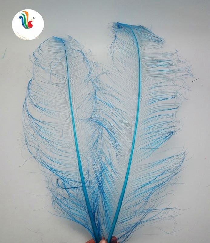 FEDEX Shipping Feathers Millinery Supplies Burnt Ostrich Feathers 50-55cm Hat Decor