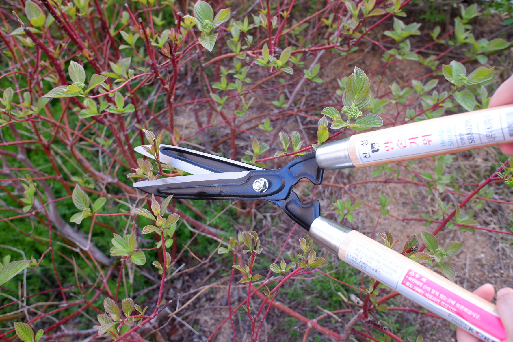 SINSEUNG SB802W Hedge Shears Garden Hedge Clippers Shears SET Super Pruning Shears