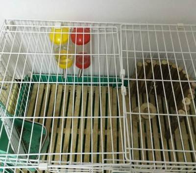 Hot sale high quality match ASTM standard stainless steel welded wire mesh