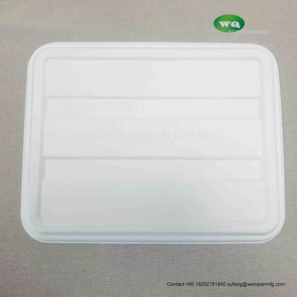 4-coms Sugarcane pulp plate with lid Natural-Pulp Biodegradable Products