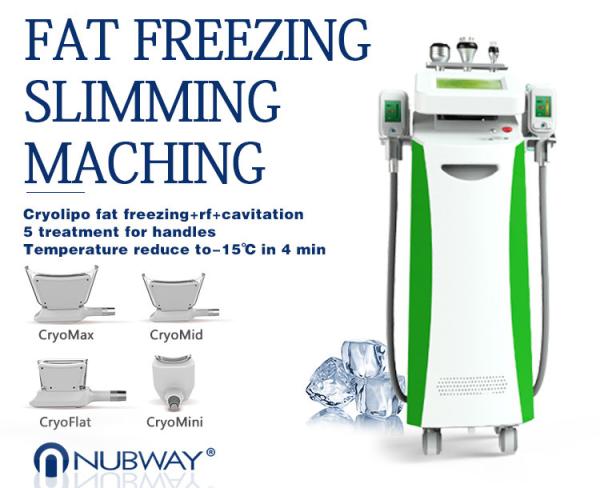2014 Newest-released!!! The most featured Cryolipolysis Slimming Equipment Green