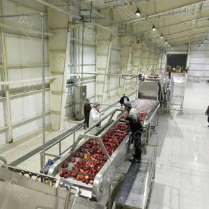 China Made Apple Juice Processing Line Automatic Multifunctional with Strict