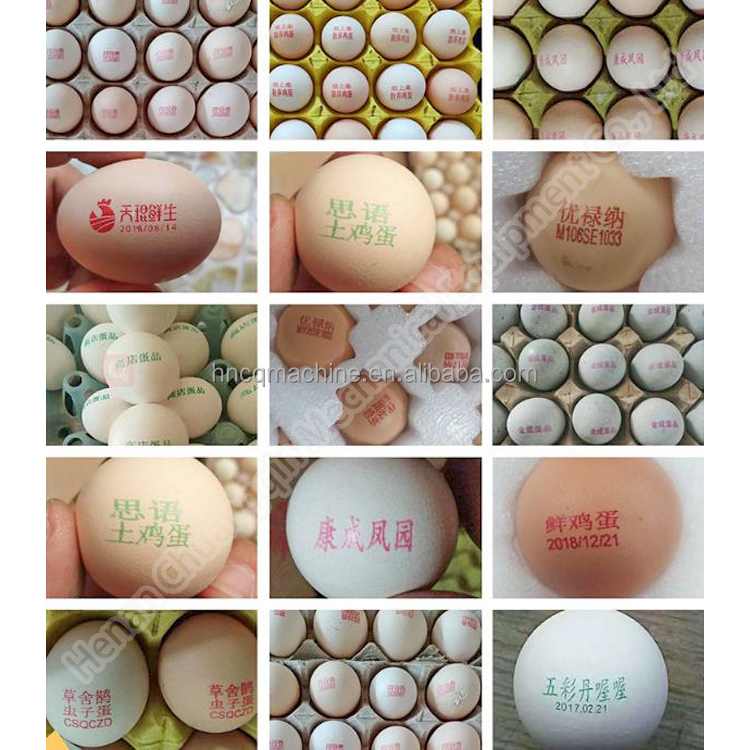 Chicken Egg Printer Printing Machine Ink Jet Printer Eggs Machine Egg Date Printer
