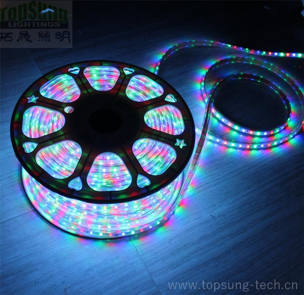 100m 230v AC led strip 5050 waterproof cuttable strips lights flexible blue color