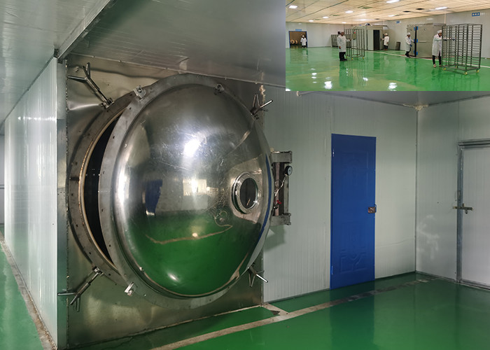 Electric Heating Food Vacuum Freeze Drying Machine -40C-80C