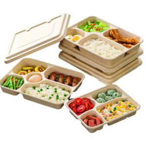 China Eco-friendly customized takeaway lunch box biodegradable sugarcane bagasse container 4 or 5 compartments with lid on sale