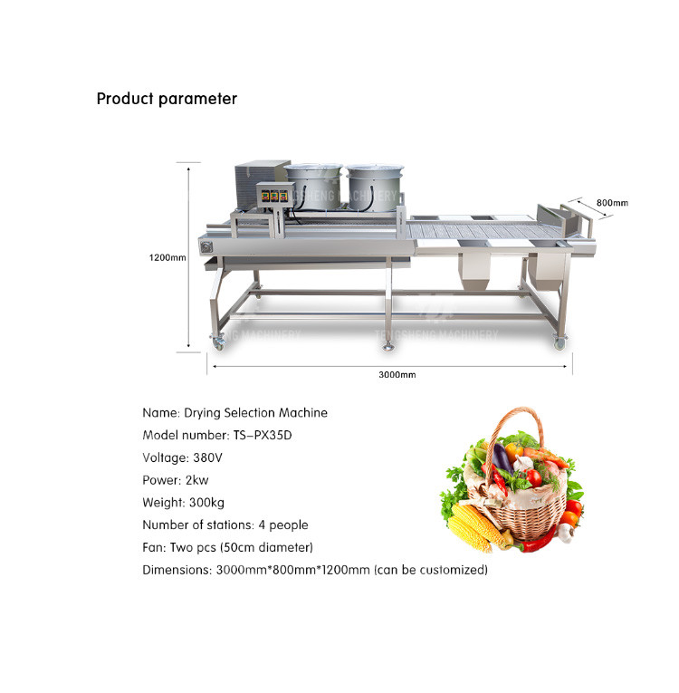 Industrial Cassava Tomato Vegetable Processing Machine Drying And Selection