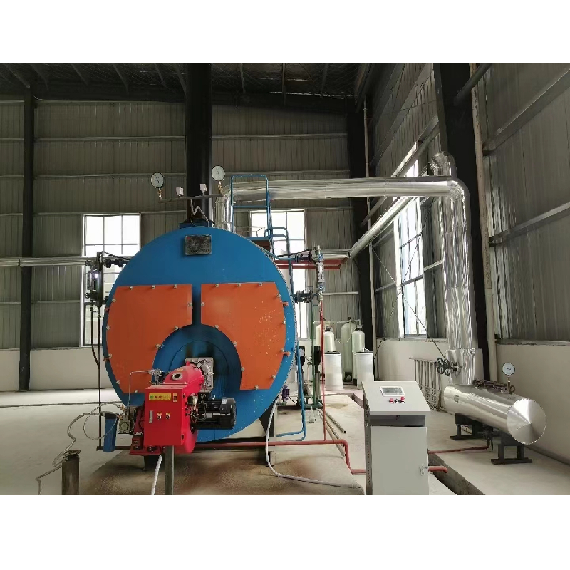 slaughterhouse Diesel Steam Boiler High Efficiecny For scalding machine For heating