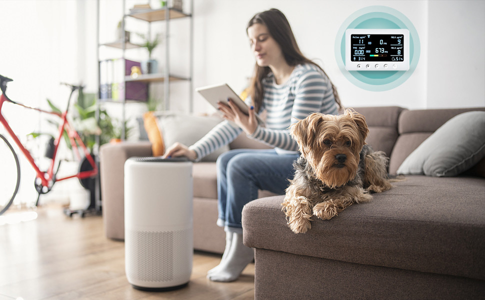 Mobile Sync Smart Air Quality Monitor Carbon Dioxide Pollen IAQ Monitoring Devices