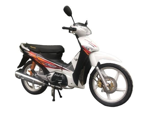 Colored Plastic 110cc CUB Motorcycle Big Wheel Dirt Motorcycle Rear Rack Bikes