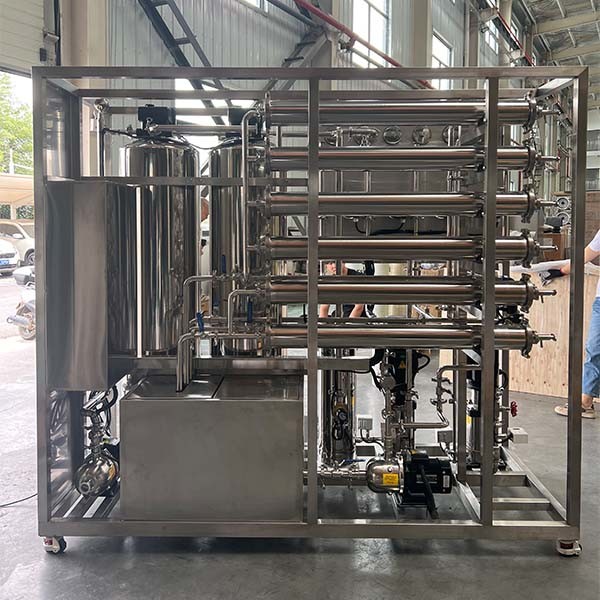 0.5 tons of Double-stage reverse osmosis water treatment for Industrial