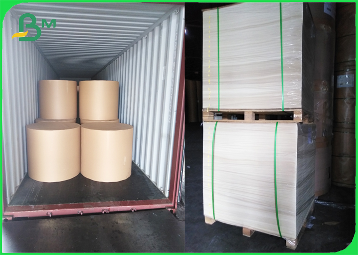 Recyclable Paper Material Woodfree Paper 80gsm 100gsm 51 - 95cm rolls size