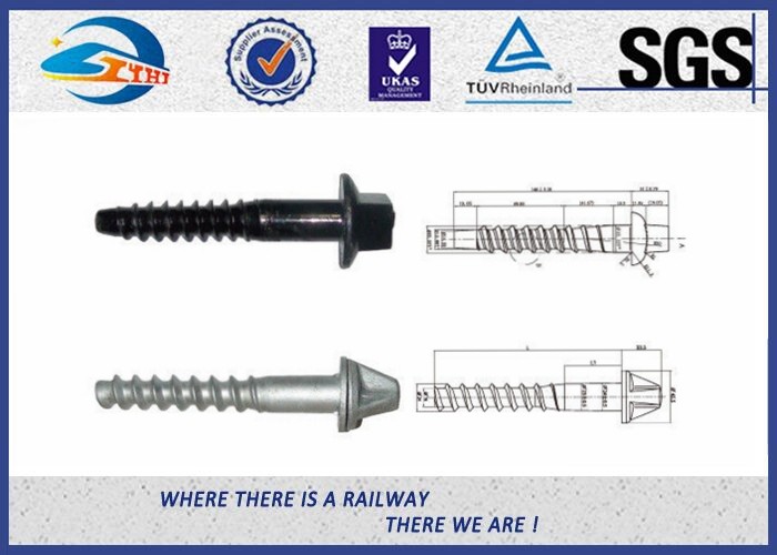 SS Serie HDG Surface Railway Sleeper Screws 5.6 Grade For Railway Fastener