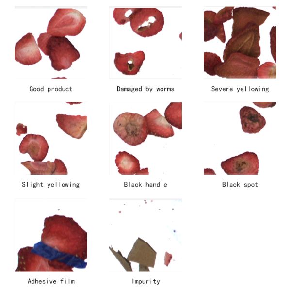 AI Powered Strawberry Chip Color Sorter Machine with high Capacity