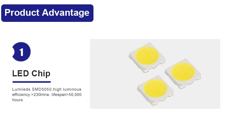 Wide Beam Angle Street Illumination Night Light LED Module 50w America 6500k