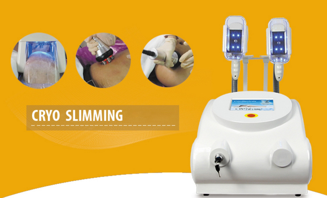 LF-217 Salon use fat reducing cryo portable slimming machine with 2 cryo handles
