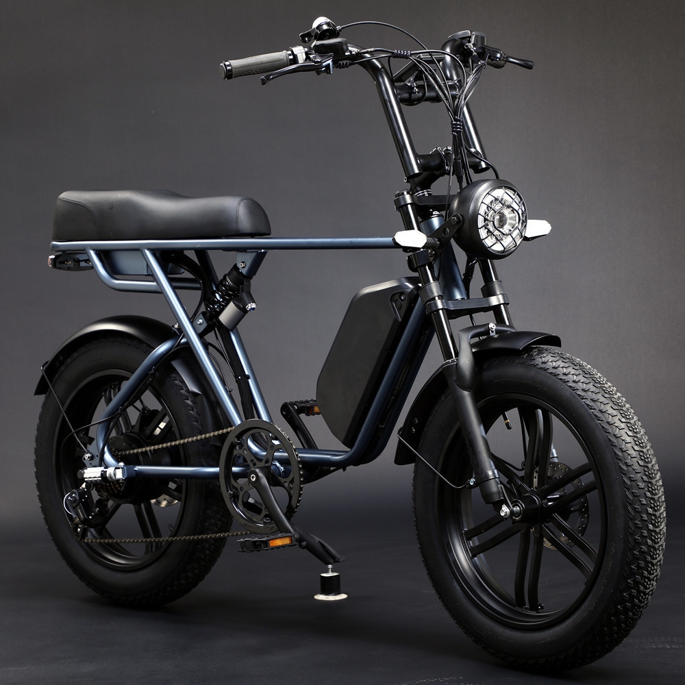 Full Suspension 48V Fat Tire Electric Bike 750W With LCD Display And Rear Hub Motor