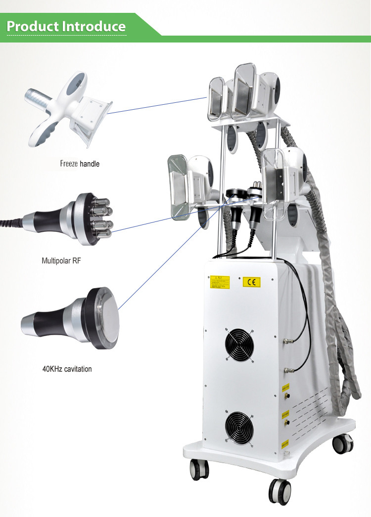 6 In 1 Cryolipolysis Fat Freezing Machine For Fat Slimming 2200W