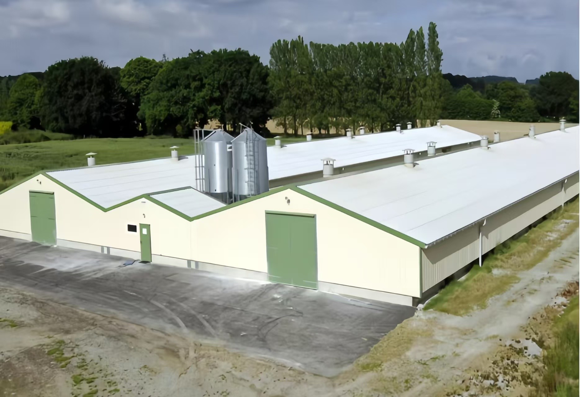 Easy Install Plastic Chicken House Slats For Animal Husbandry Equipment