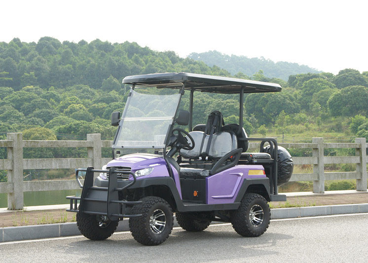Energy Saving 4 Seater Battery Powered Car Golf Cart With Brake System