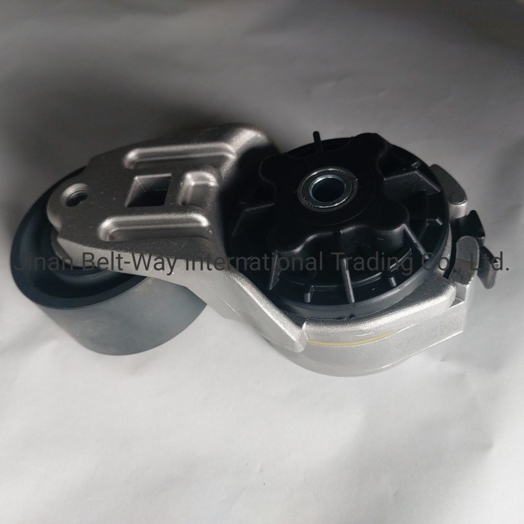HOWO Truck Belt Tensioner Pulley Vg2600060313 Sinotruk Weichai