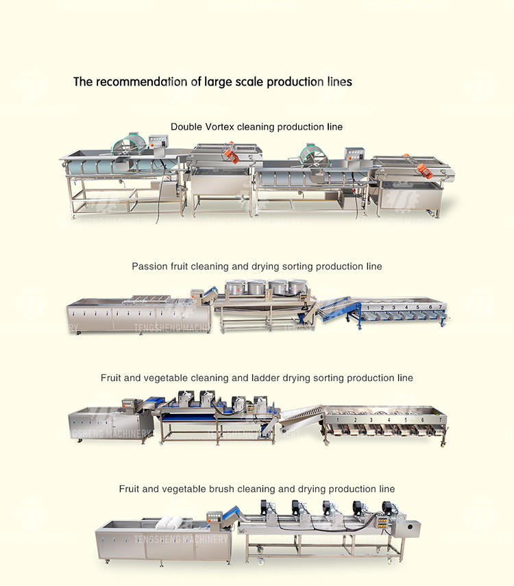 2000KG/H Fruit And Vegetable Washing Machine Bubble Washing Equipment