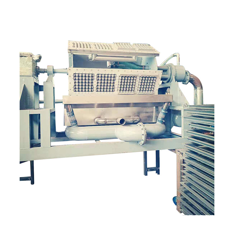 PLC Controlled Egg Tray Production Line Reciprocating And Rotary Forming 6 Seconds Per Cycle