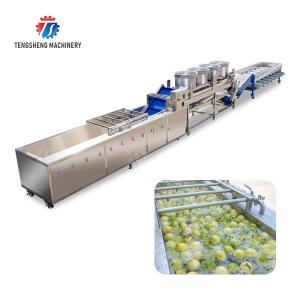 Passion fruit cleaning and drying sorting production line Fruit Vegetable FOOD