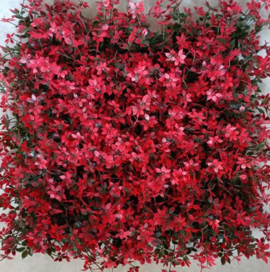 Artificial Wall Grass Can Improve Work Efficiency And Aesthetics In Your Bedroom With Beautiful Appeals