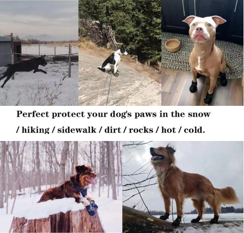 Waterproof Pet Shoes Durable Reflective Anti - Slip Dog Shoes