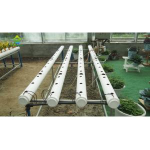 China ECO Friendly Auto Soilless Hydroponic System For Leafy Vegetables on sale
