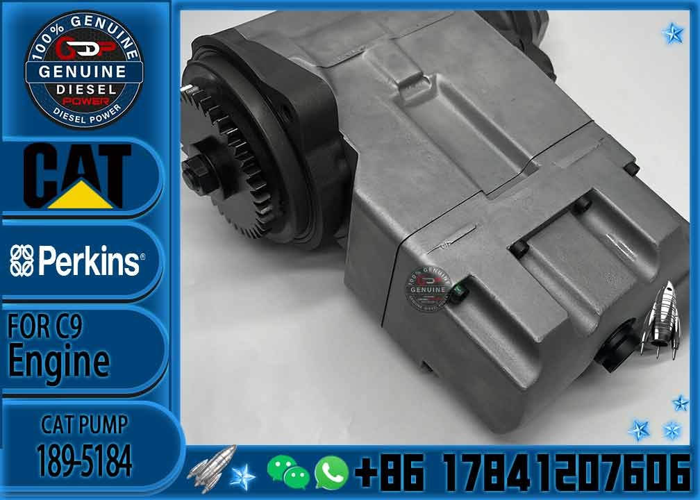 Diesel engine fuel Pump 189-5184 10R-8899 476-8766 20R-1649 for C7 C9 Excavator