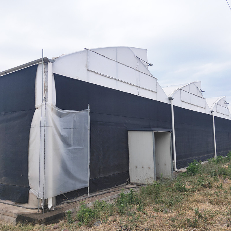 Stable Structure Easily Assembled Agricultural Single Span Fully Automated Blackout Mushroom Growing Greenhouse