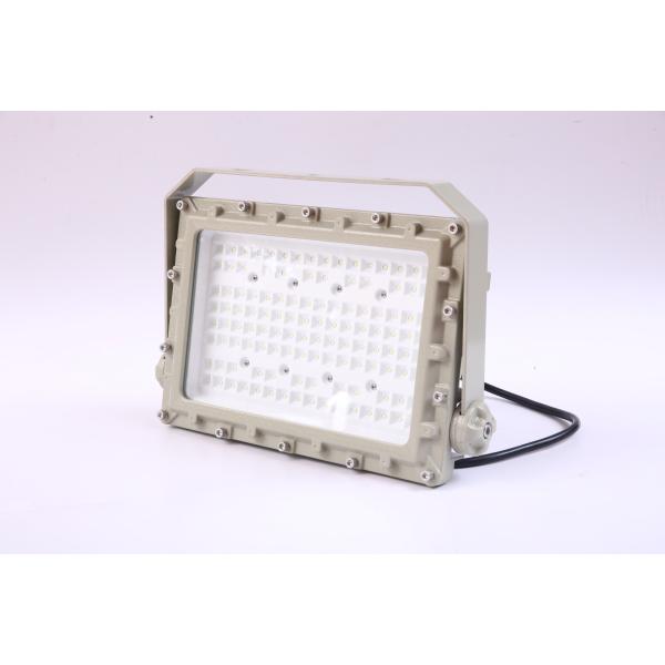 50–240W Customizable Explosion Proof LED Floodlight | CREE Chips | ATEX