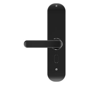 CE 2.4GHz Commercial Wifi Door Lock With Handle Zigbee Touch Keypad