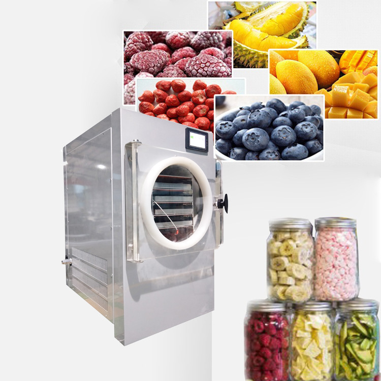 Small Vacuum Freeze Dryer SUS304 Electric Heating Home Use