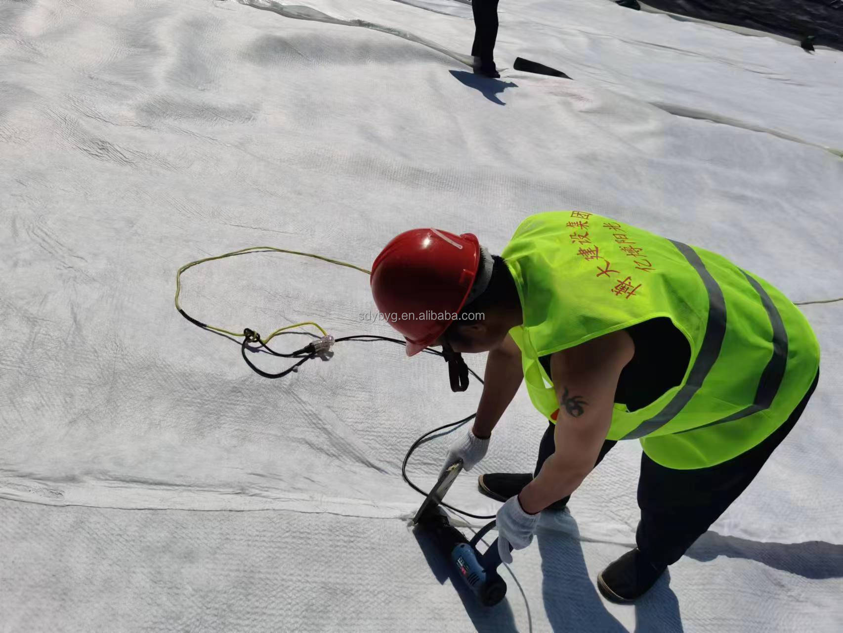 HDPE Greening System 3D Composite Drainage Geonet for Railways Highways