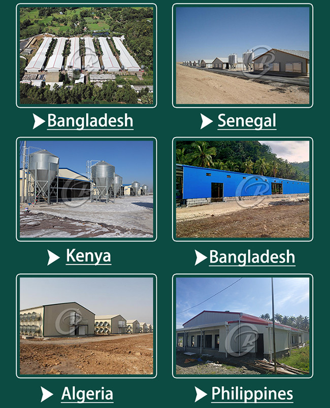 Galvanised Steel Structure Poultry House Customized With Insulated Panels