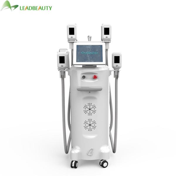 Cryolipolysis Fat Removal System Professional Fat Freeze Equipment Cryo Fat