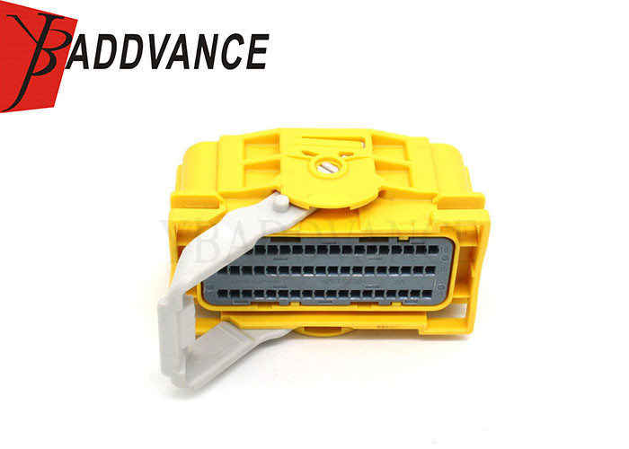 Delphi PBT GF20 Waterproof Automotive Connectors 54 Pin Female