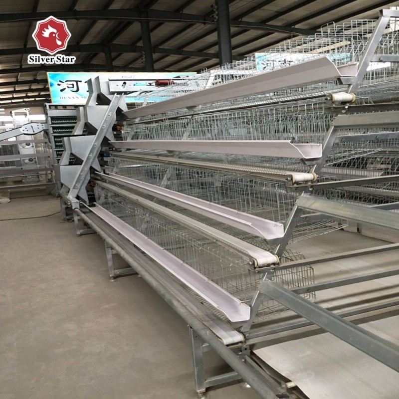 1950×2300×2000 Battery Egg Layer Cage Farming Equipment And Egg Collection Disinfection System