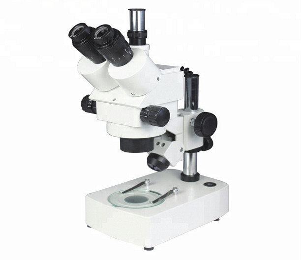 Stereo Microscope