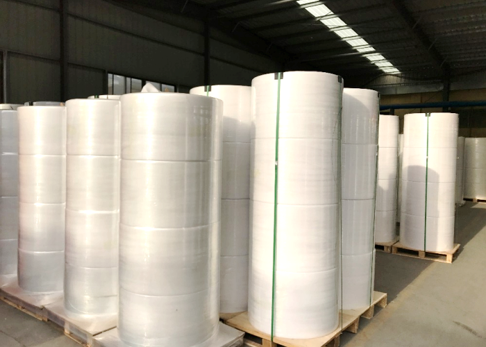 CB CFB CF Carbonless Copy Paper in Rolls for Continous Form