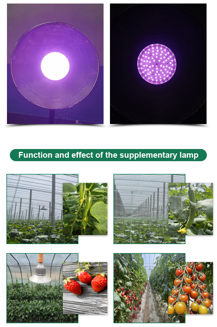Samsung LED Type Full Spectrum Grow Light for Greenhouse 36w 45w 50w E27