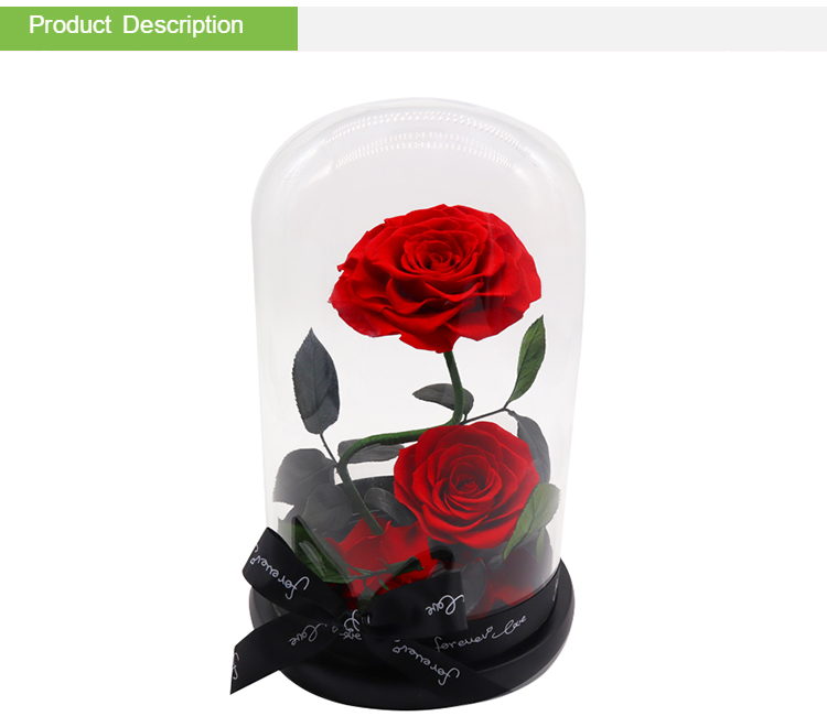 Beauty And The Beast Preserved Rose Glass Dome For Christmas Gift