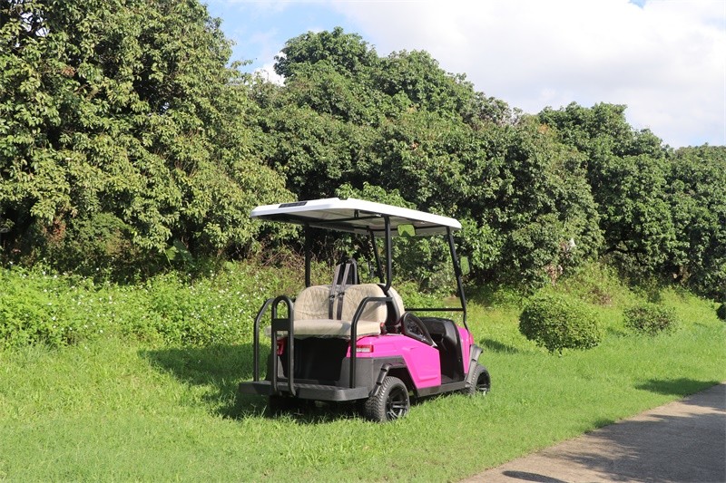 M series 48V 2+2 Seater Golf Buggy with Trojan Battery
